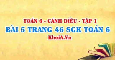 Bài 5 trang 46 SGK Toán 6 tập 1 Cánh Diều
